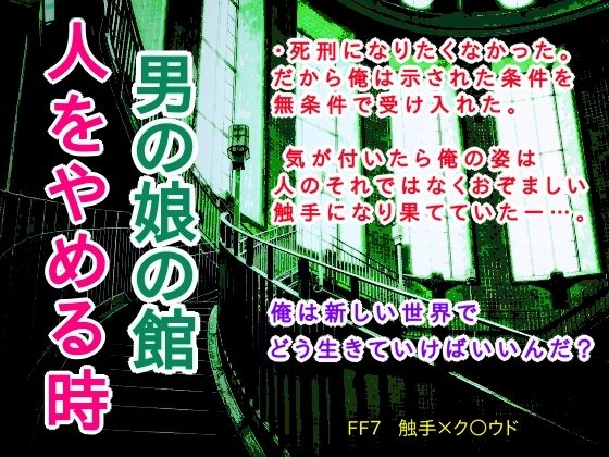 D 376603pl